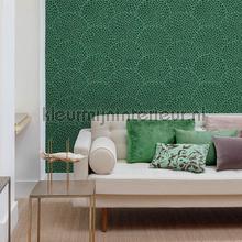Hookedonwalls Karin Sajo wallcovering