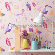 Kleur vogels behang Rasch behang 