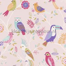 Kleur vogels behang Rasch behang 