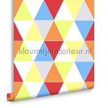 Harlequin Bright behang 100106 jongens Noordwand