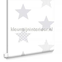 Superstar Silver carta da parati Noordwand tinta unita 
