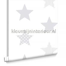 Superstar Silver papel de parede 100111 estrelas Noordwand