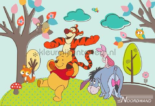 Fotobehang Winnie De Pooh 70-583 babykamer Noordwand