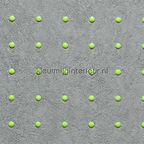 Dots licht groen op grijs papel pintado 31006 Le Corbusier Arte
