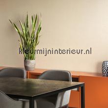 Dots zalm op licht zalm tapet Arte uni farver 