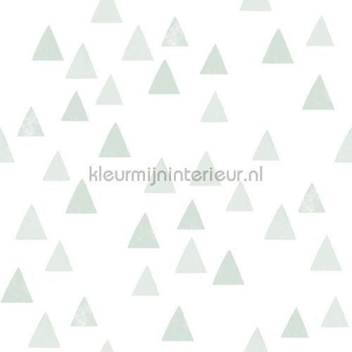 grafische driehoeken mintgroen papier peint 153-139055 filles Esta for Kids