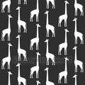 giraffen zwart wit tapet 153-139062 dyr Temaer