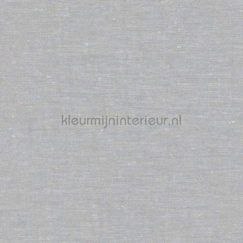  behaang 219656 Engelse blukskes BN Wallcoverings