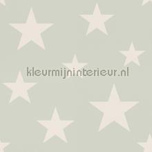 Middelgrote sterren tapeten Esta for Kids uni farben 