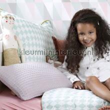 Little Bandits wallcovering Esta for Kids