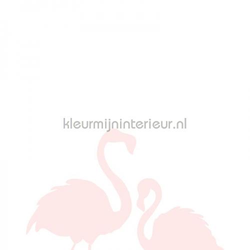 Flamingos moeder en kind fotobehang 158838 kinderkamer meisjes Esta for Kids