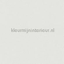 Uni grijs vliesvinyl behang AS Creation behang 