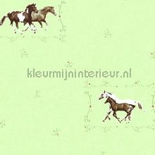 Paarden in het veld behang AS Creation meisjes 