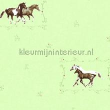 Paarden in het veld carta da parati AS Creation urbano 