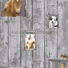 In de stal wallcovering 358421 horses AS Creation