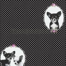 Zwart wit hondjes wallcovering AS Creation Little Stars 358512