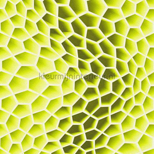 3d honeycomb yellowgreen behang 327091 retro AS Creation
