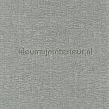 Caiman vert de gris papel de parede Casamance Malanga 74071412
