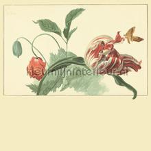 Tulip and Poppy cream behang Eijffinger Masterpiece 358118