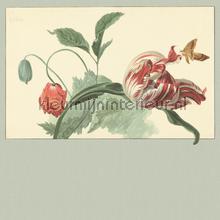 Tulip and Poppy sage fotomurais Eijffinger Masterpiece 358119