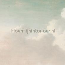 Dutch sky stripes jade fotomurales Eijffinger Masterpiece 358121