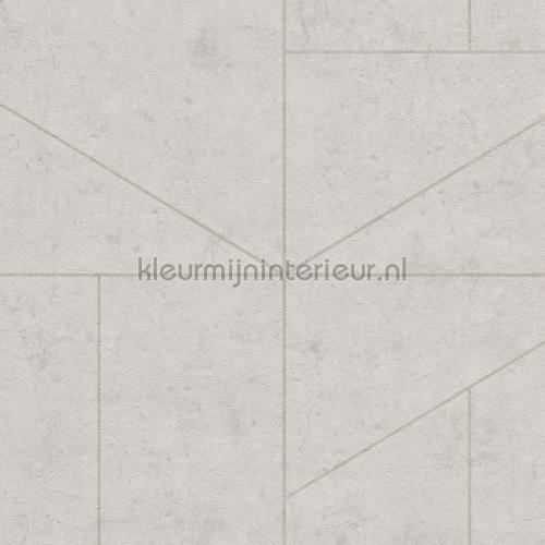  behaang 219827 bekant vur niks BN Wallcoverings