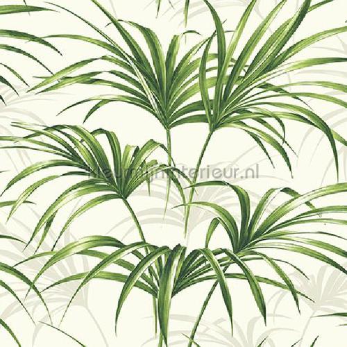 Open palm leaf tapet tp80610 Exotisk Dutch First Class