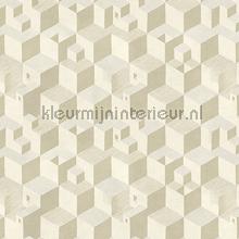 Escher Cube houses wallpaper behaang 23152 MC Escher Arte