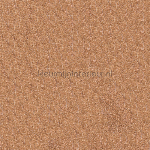 Copper carta da parati 410012 Glassfleece Kleurmijninterieur