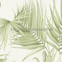 Palm bladeren papier peint 36505-1 romantique moderne AS Creation