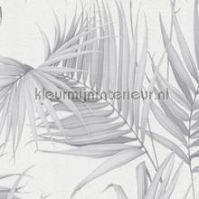 Palm bladeren papier peint AS Creation Metropolis Dream Again 36505-4
