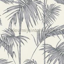 Palm takken behang tapet 36919-2 Moderne - Abstrakt AS Creation