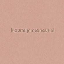 gewolkte uni zalm-rood wallcovering 220233 plain colors BN Wallcoverings