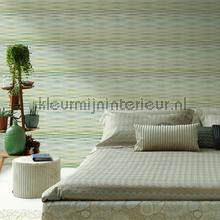 Fireworks carta da parati Hookedonwalls Missoni 10057