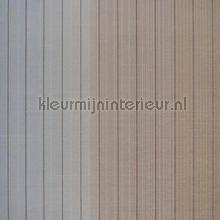 Vertical Stripe carta da parati Hookedonwalls Missoni 10071
