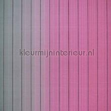 Vertical Stripe carta da parati Hookedonwalls Missoni 10072