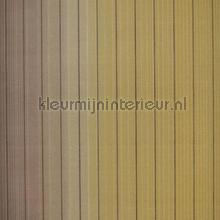 Vertical Stripe carta da parati Hookedonwalls Missoni 10074