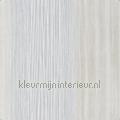 Zenia pewter carta da parati 111570 Momentum Wallcoverings Volume 4 Harlequin