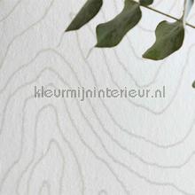 Formation tapet 111589 Momentum Wallcoverings Volume 4 Harlequin