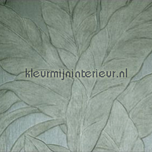 Musa eucalyptus papel pintado Arte papel pintado Top 15 