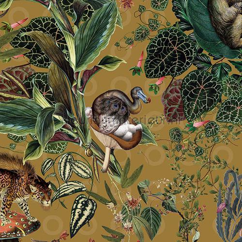 menagerie of extinct animals behaang mo2074 Moooi Wallcovering Extinct Animals Arte