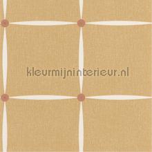 Funk tapet Caselio Vintage Gamle 