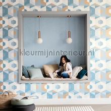 Pop tapet Caselio Vintage Gamle 