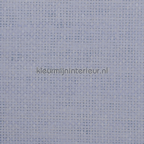 Blauw weefsel met brede draadopbouw behang Natuurlijke Weefsels Kleurmijninterieur