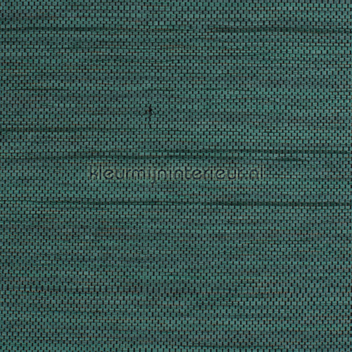 Hor. weefsel turquoise met zwart accent behang Natuurlijke Weefsels Kleurmijninterieur