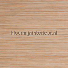 Horizontaal weefsel licht terra behang Kleurmijninterieur Natuurlijke-materialen