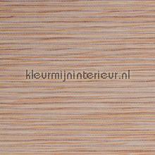 Horizontaal weefsel zalm-taupe behang Kleurmijninterieur Natuurlijke-materialen