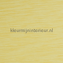 Horizontaal weefsel geel behang Kleurmijninterieur Natuurlijke-materialen