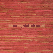 59690 wallcovering Kleurmijninterieur all images 