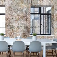 Willow Street fotomurais Behang Expresse telhas 